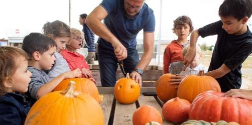 Bienvenue à l'atelier Sculpture de Citrouilles de la Cueillette de Cergy!